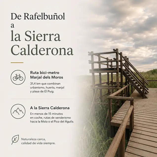 Imagen de la ruta Marjal del Moros